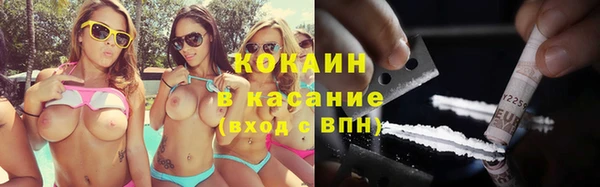 индика Вяземский