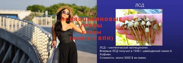 ПСИЛОЦИБИНОВЫЕ ГРИБЫ Горняк