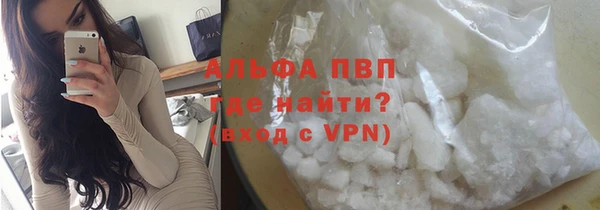индика Вяземский