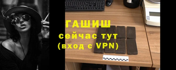индика Вяземский