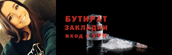 индика Вяземский