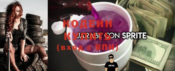 индика Вяземский